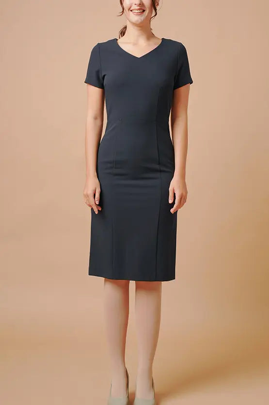 Smart Stretch V-neck I-line Dress