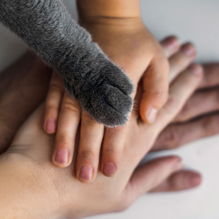 Protecting animals<br>through ethical practices