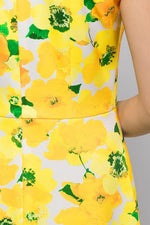 Limone Flare Dress