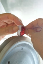 【Shimadzu Satsuma Kiriko】Passion Crimson